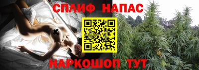 гашик Славянск-на-Кубани