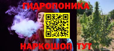 гашик Славянск-на-Кубани