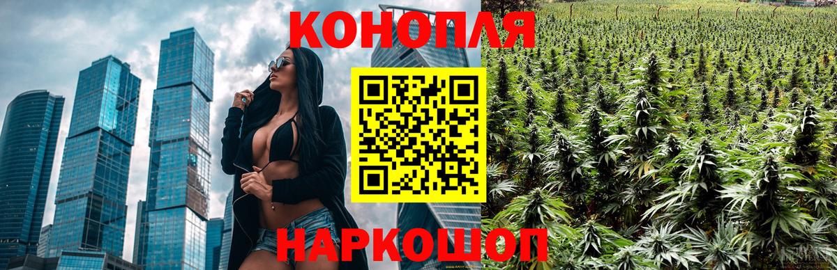 Бошки Шишки план Орёл